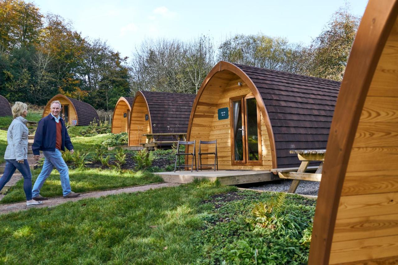 Whitemead Forest Park Hotel Лидни Екстериор снимка